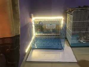 Collapsible Dog Cage