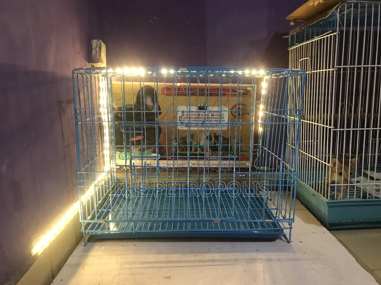 Collapsible Dog Cage