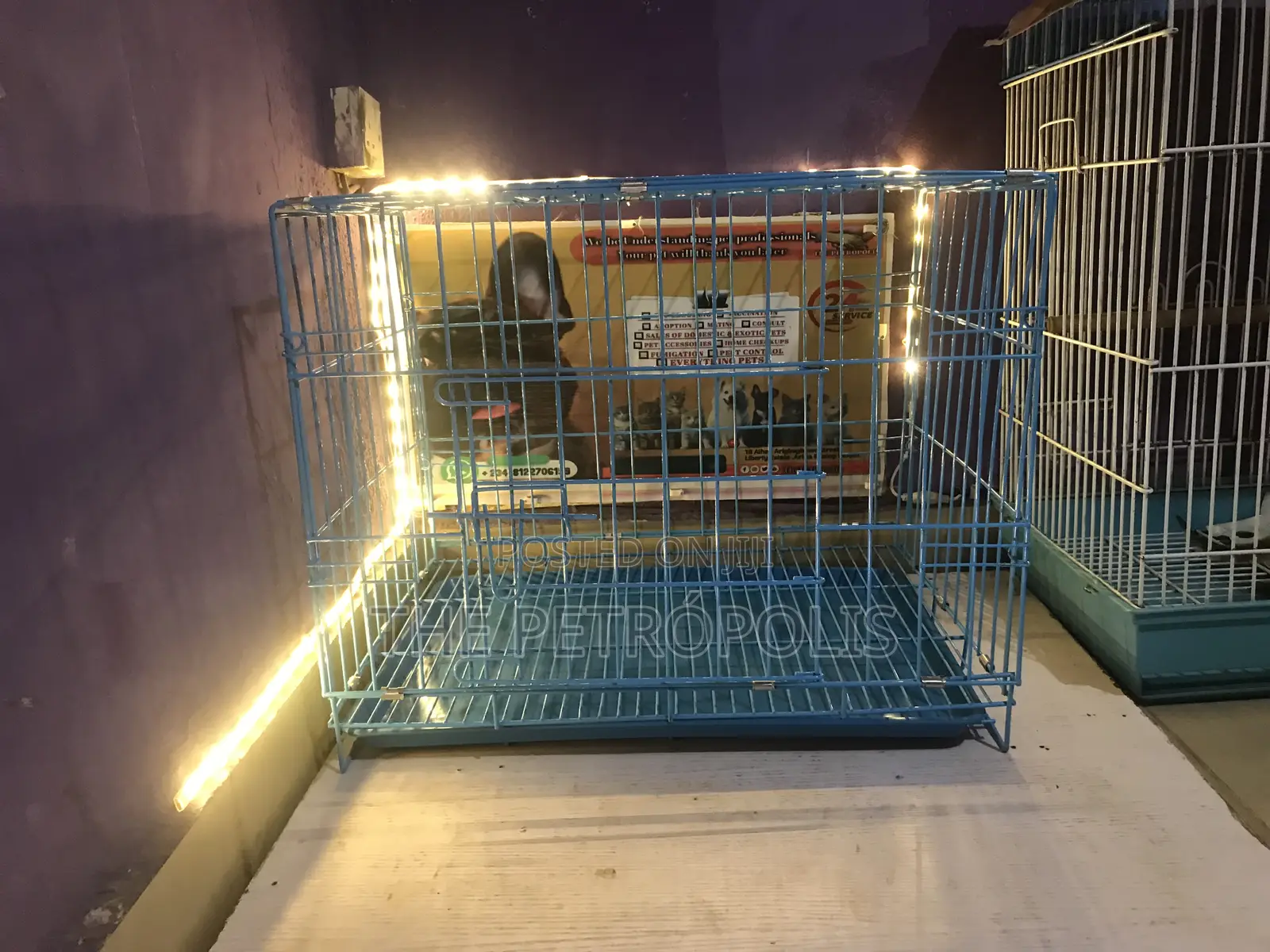 Collapsible Dog Cage