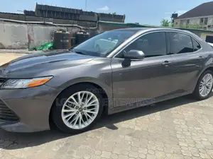 Toyota Camry XLE V6 (3.5L V6 8A) 2019 Gray