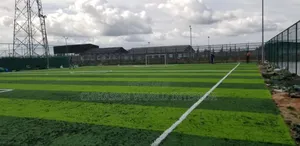 50mm Standard Football  Grass