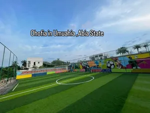 50mm Standard Football  Grass