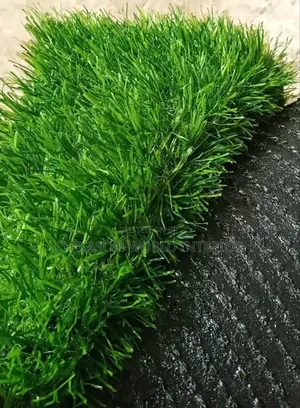 Standard Quality Grass Carpet