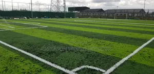50mm Standard Football  Grass
