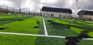 50mm Standard Football  Grass