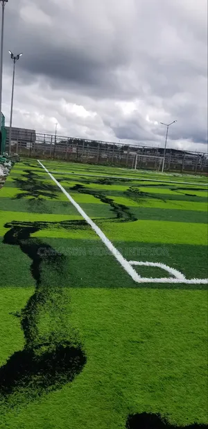 50mm Standard Football  Grass