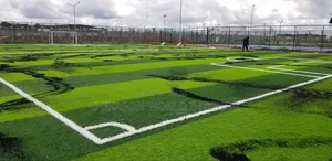 50mm Standard Football  Grass