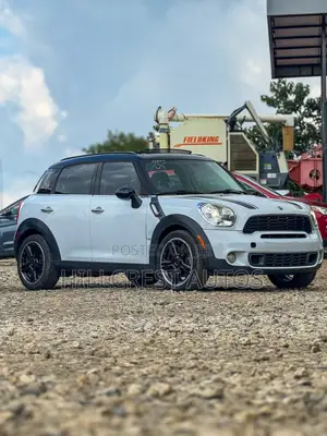 Mini Countryman Cooper S AWD ALL4 2015 White