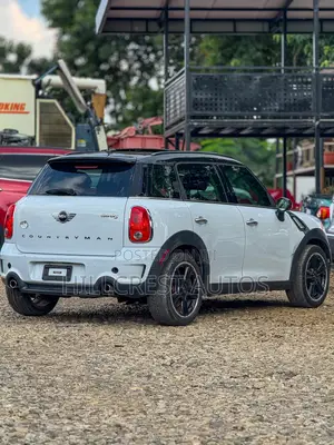 Mini Countryman Cooper S AWD ALL4 2015 White