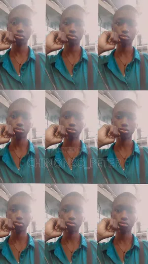 Seeking CV Online