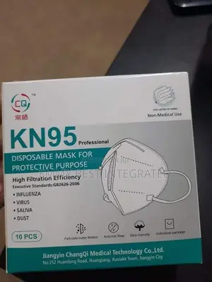 Professional Disposable Mask
