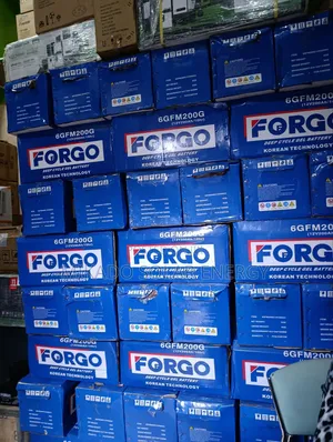 200ah 12v Forgo Dry Cell Deep Cycle Battery