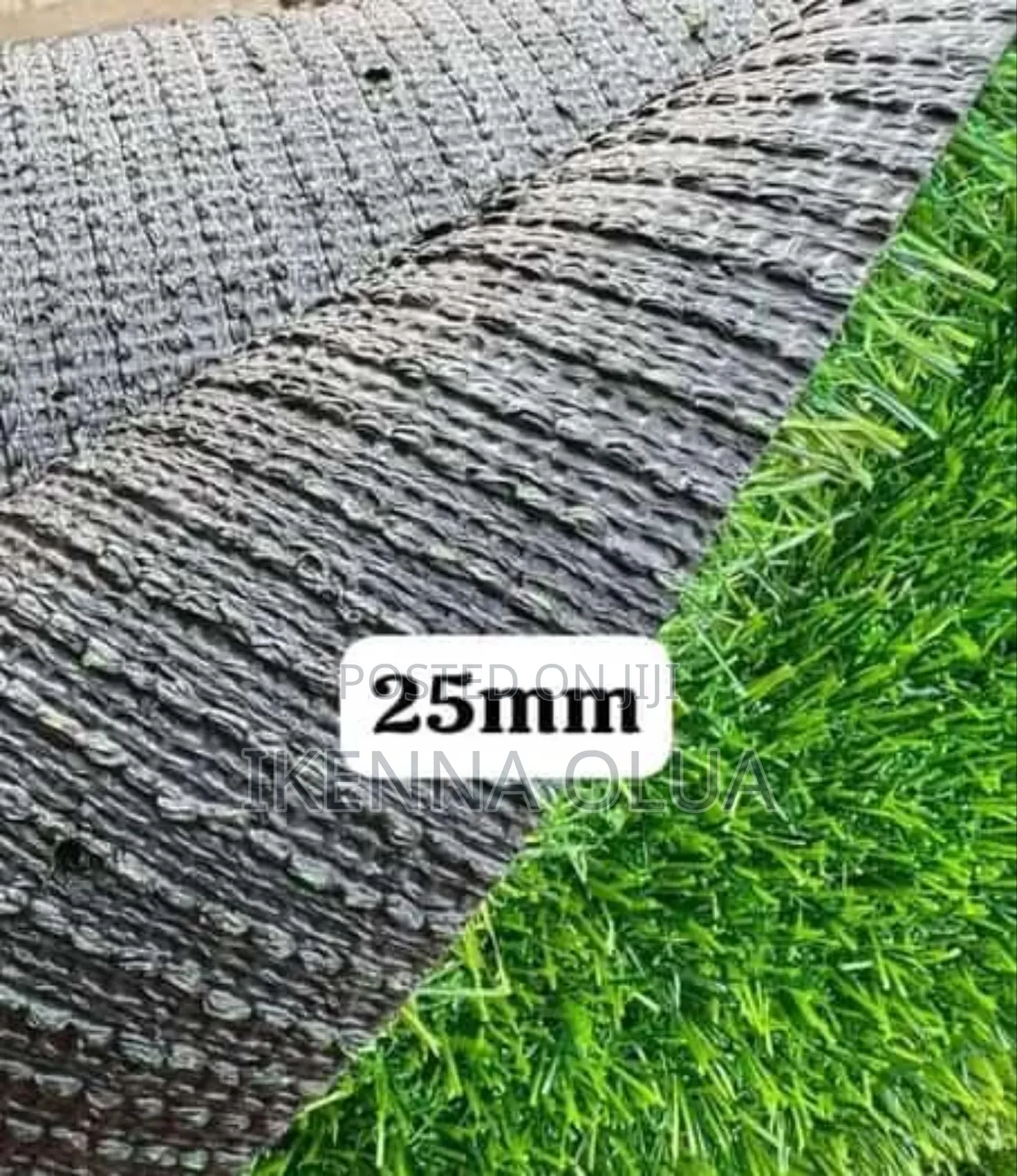 Carpet Grass