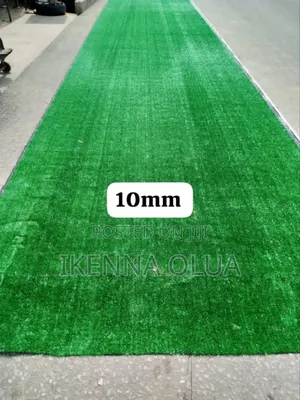 Carpet Grass