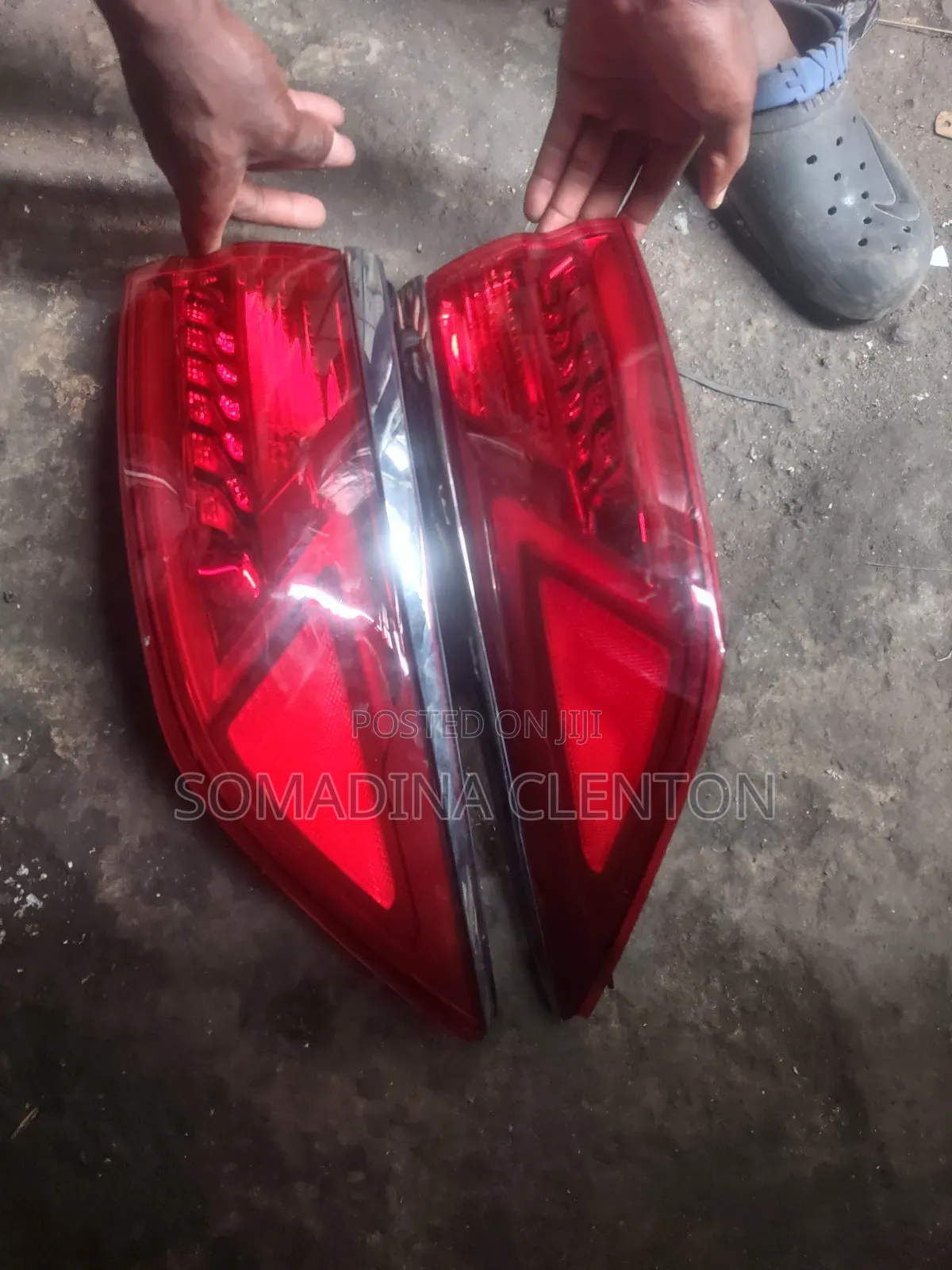Back Light Cadenza 2019
