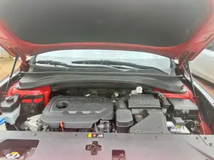 Hyundai Santa Fe 2020 Red
