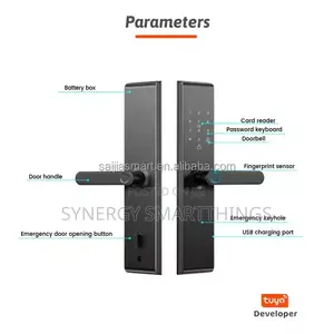 Classic Tuya Intelligent Smart Door Lock With Password Without Camera