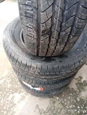 265/60r18 Boto Tyre