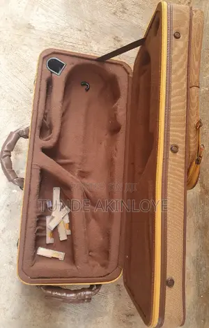Saxophone Bag