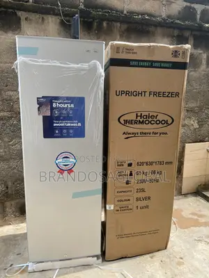 Haier Thermocool Hf-250bs – Upright Freezer With Large 235l Capacity