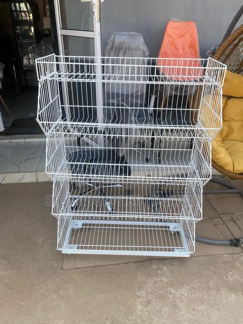 Supermarket Rack