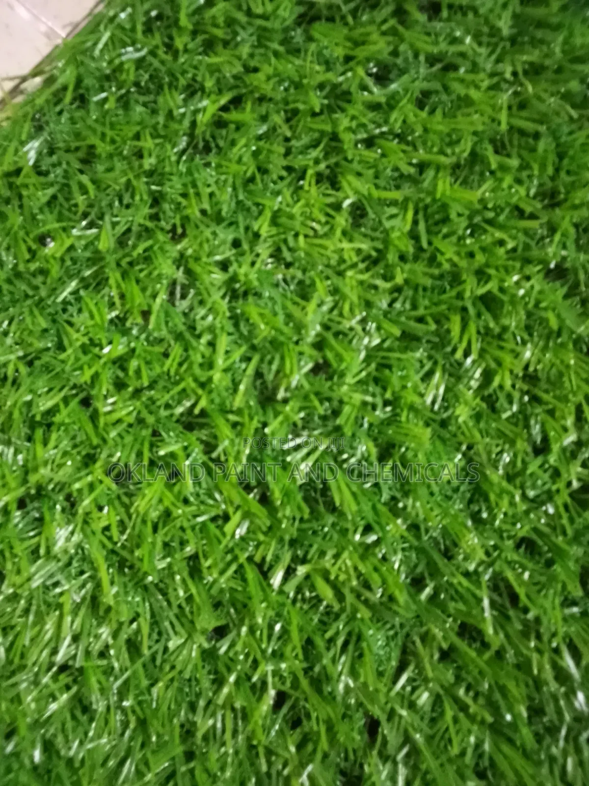 Carpet Grass Installation Services