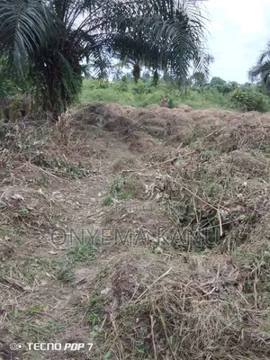 2 Plots at Imo River Town.