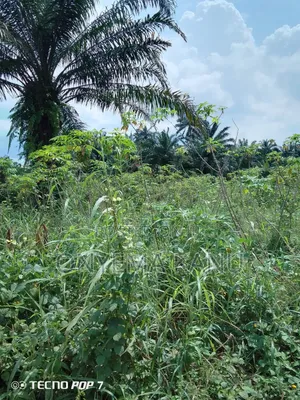 6 Plots at Imo River Town.