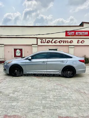 Hyundai Sonata 2015 Gray