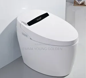 Quality Smart Water Closet