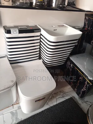 White and Black Water Closet With Wallhung Basin