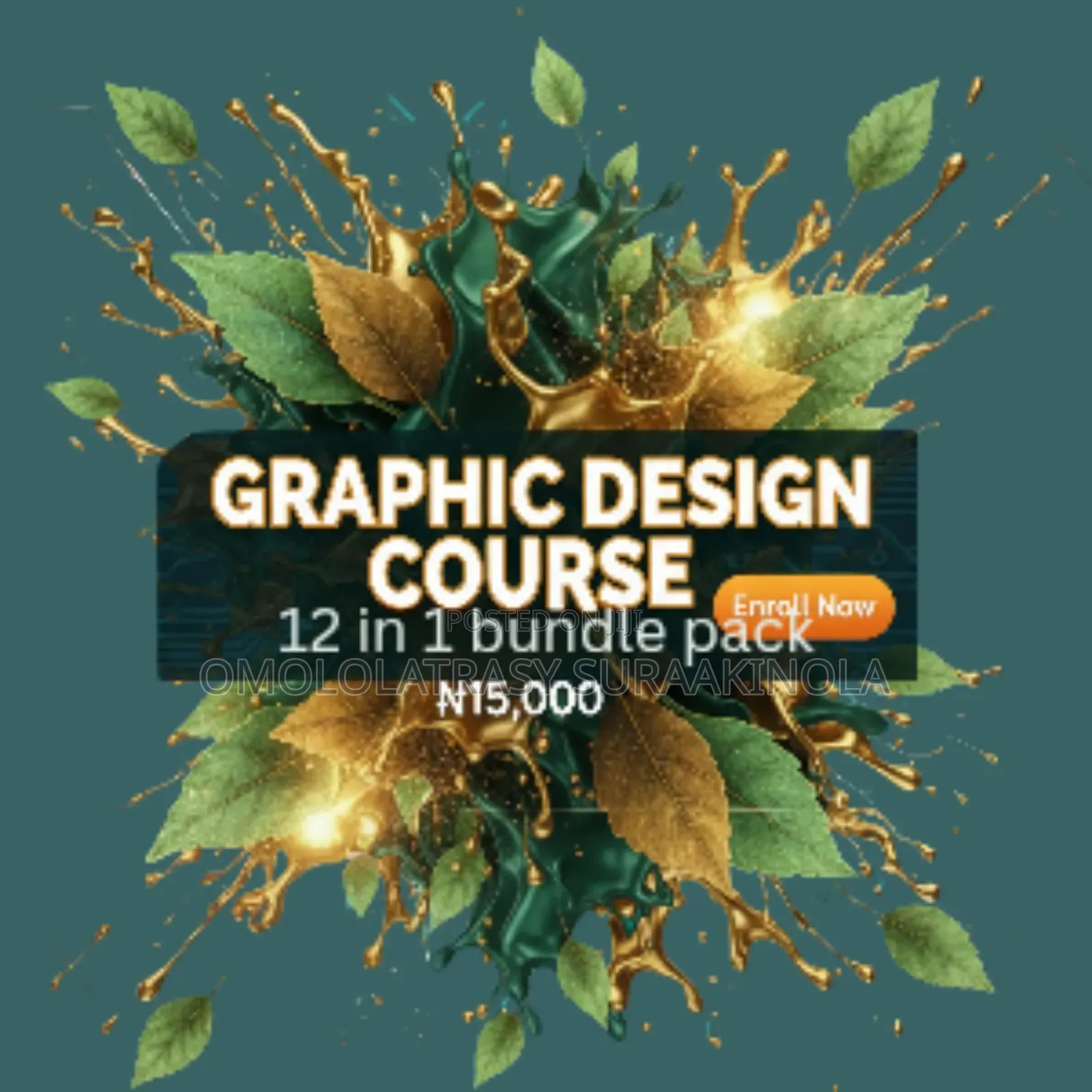 Graphic Design 12-in-1 Tutorial Bundle | Beginner To Advanced ₦15,000.