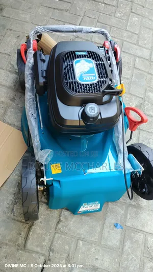 Gasoline Lawn Mower
Tgt196201