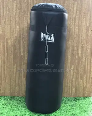 Punching (Boxing)Bag