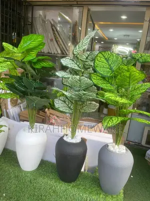 Quality Home Deco