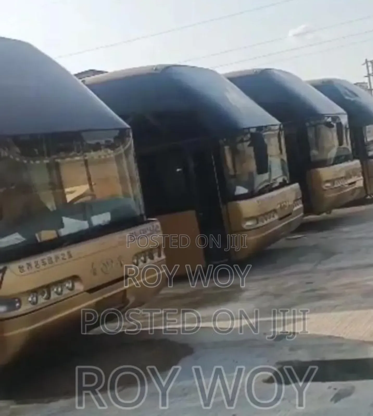 Bus 2015 Gold