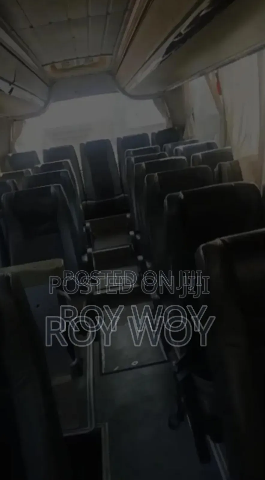 Bus 2015 Gold