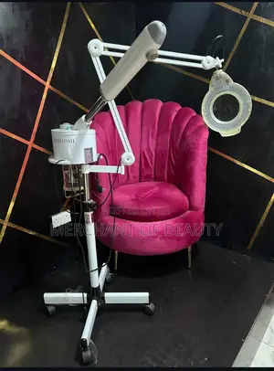 2 in 1 Facial Steamer