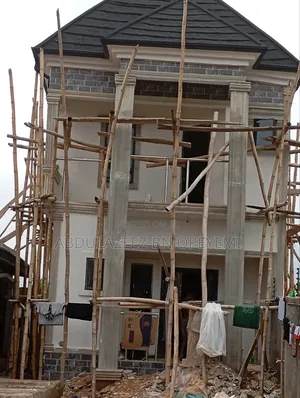 Professional House Painter