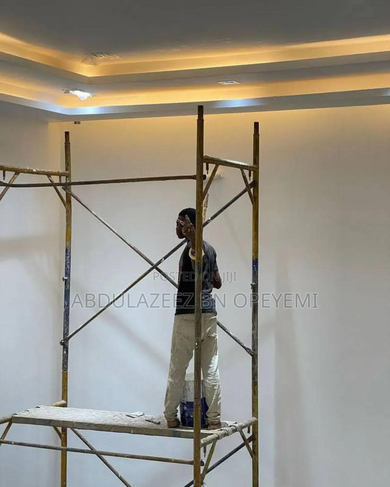 Professional House Painter and Wall Screeding
