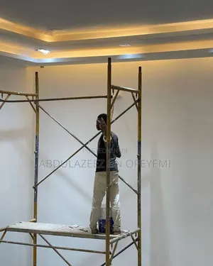 Professional House Painter and Wall Screeding