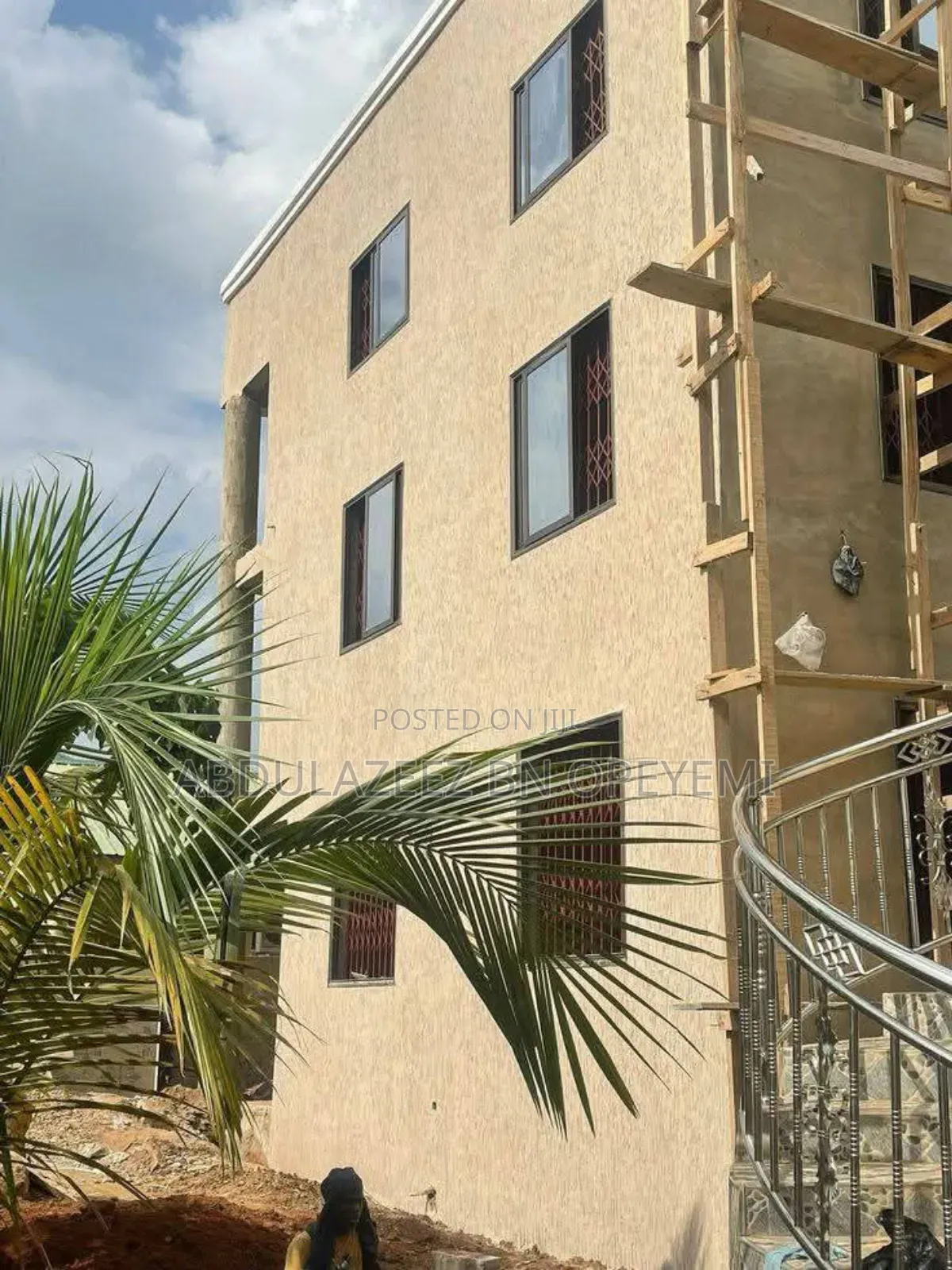 Professional House Painter and Wall Screeding