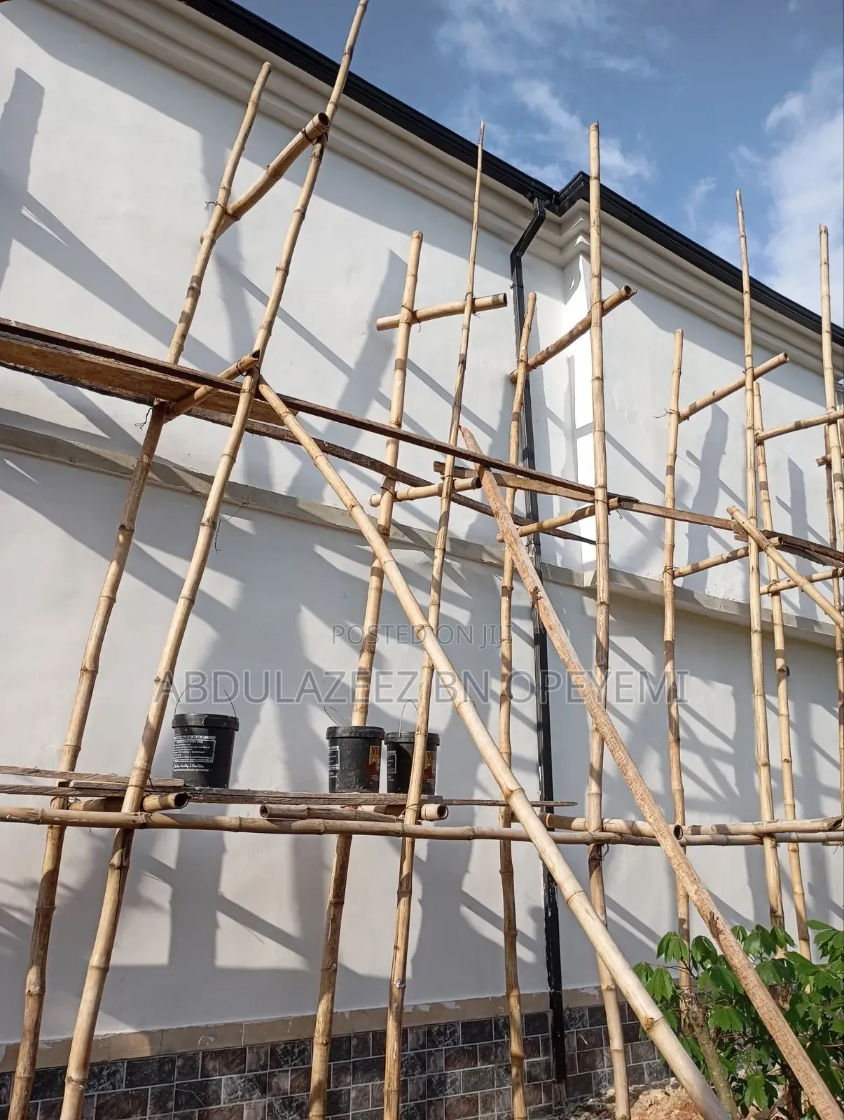 Professional House Painter and Wall Screeding