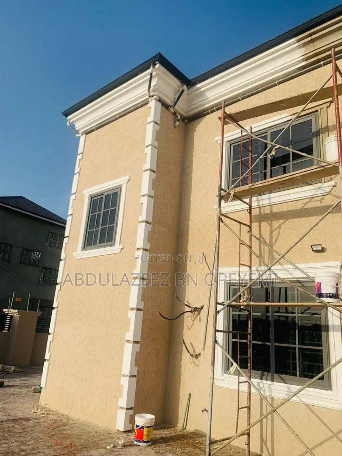 Professional House Painter and Wall Screeding