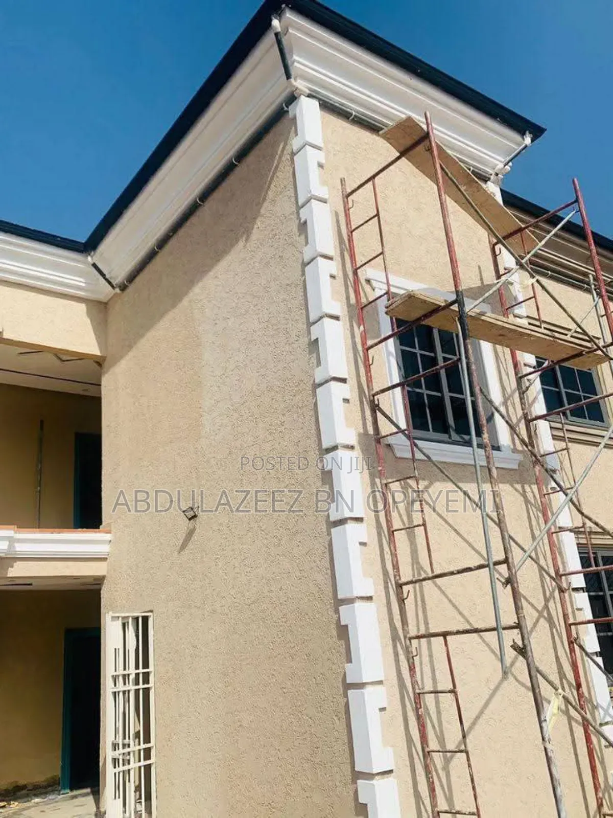 Professional House Painter and Wall Screeding