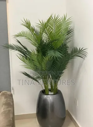 Flower and Pot