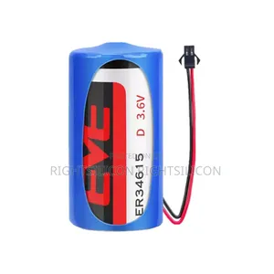 Usa Er34615 3.6v 19000mah Size D Non-Rechargeable Li-Ion Battery