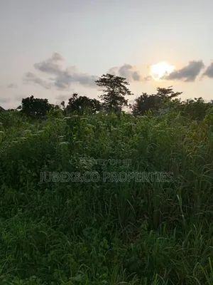 11 Acres for Farm Land at Ilaro