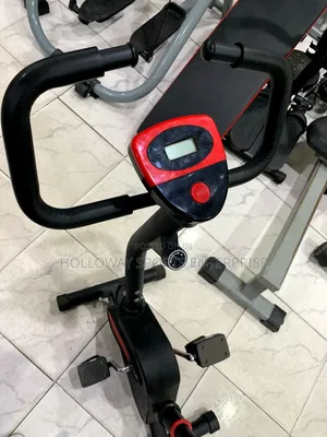 Renowned Magnetic Bike