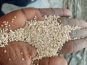 Sesame Seeds
